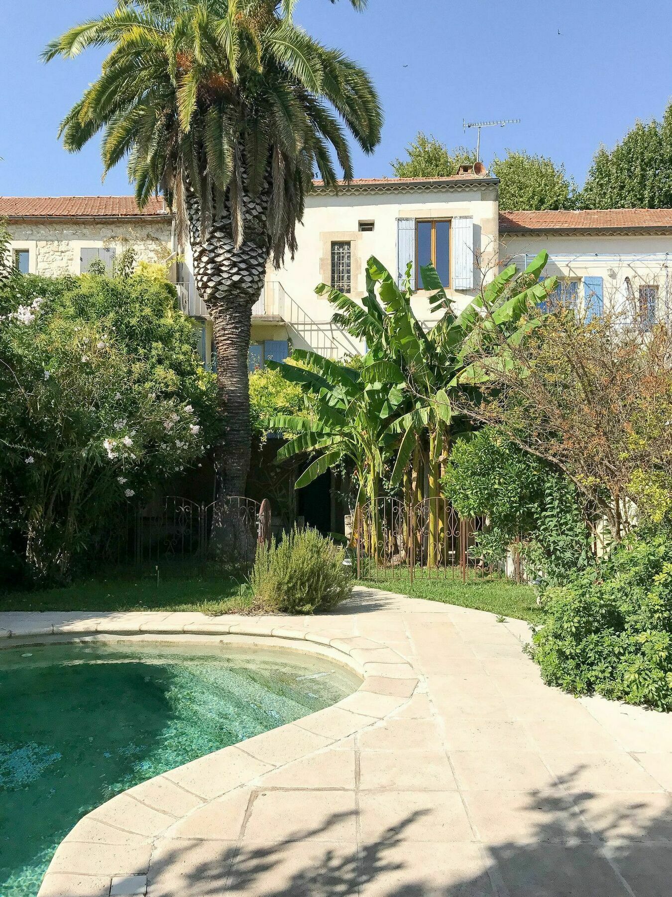Palmeira, Piscine - Parking - Clim Arles Exterior foto